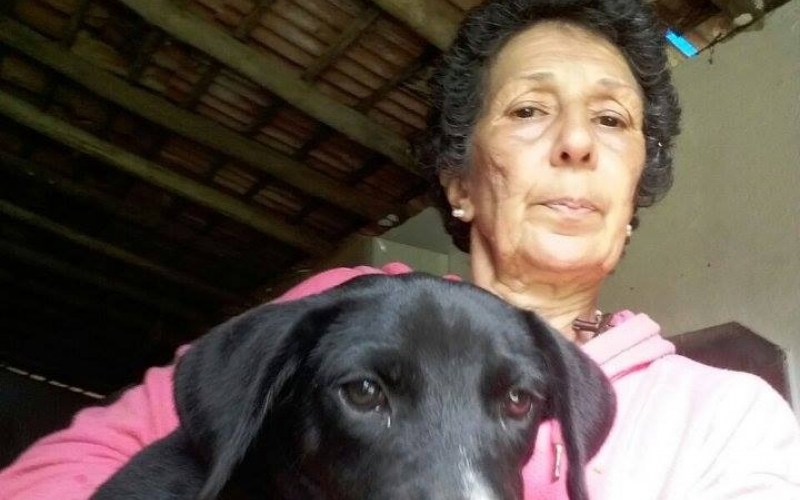 Subsecretaria do Bem-Estar Animal coordena adoção de animais do Abrigo Valéria Lima